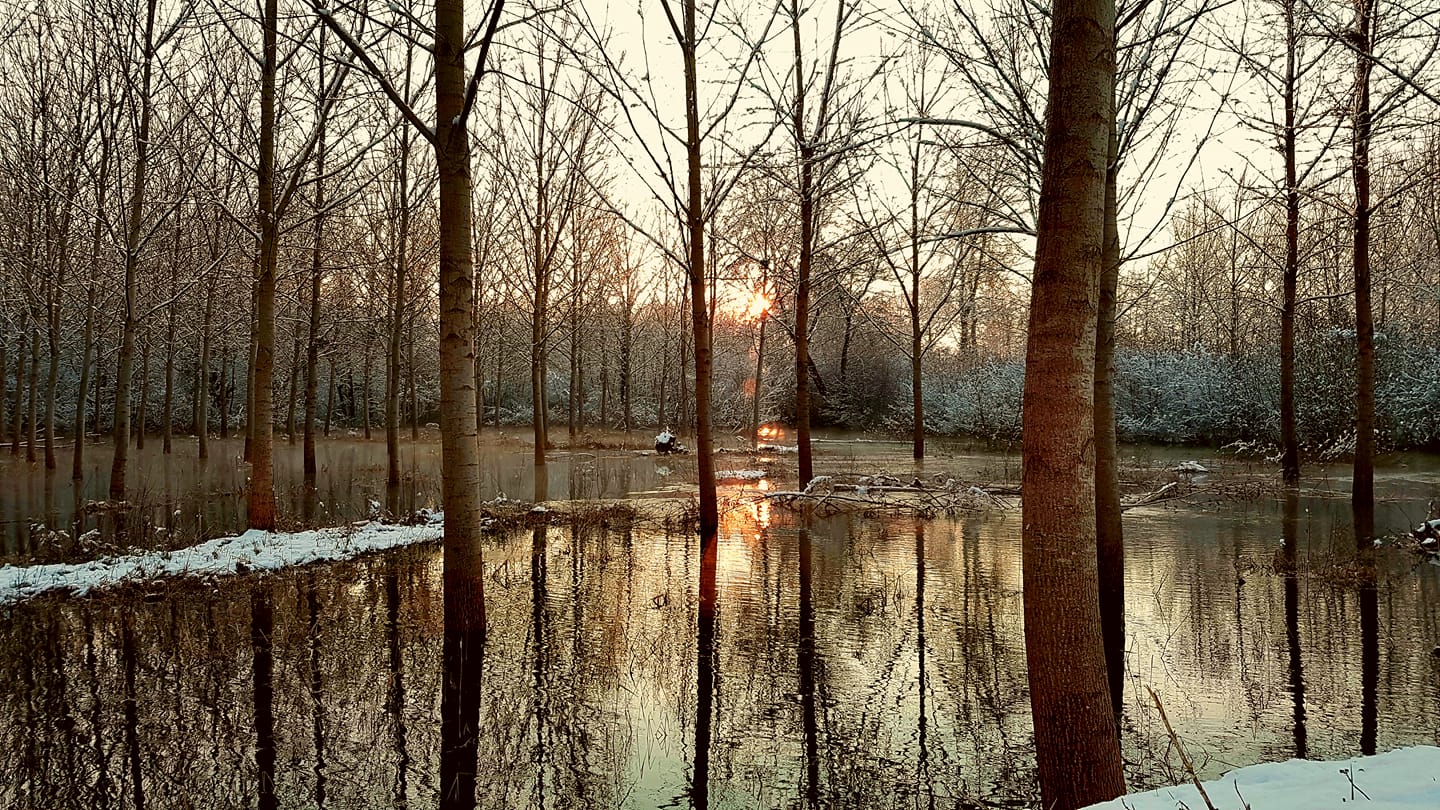 Paysage Auménancourt, la Suippe déborde en hiver