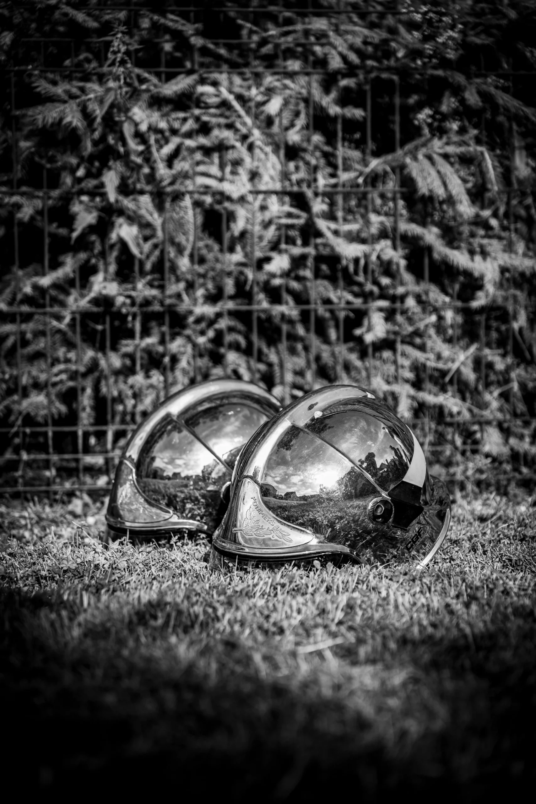 _DSC6167